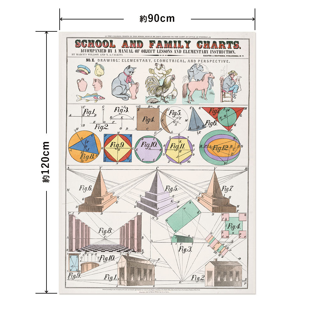 Hattan Art Poster School and family charts / HP-00196 LL size (90cm x 120cm)