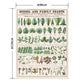 Hattan Art Poster ハッタンアートポスター School and family charts, Botanical / HP-00199 LLサイズ(90cm×120cm)