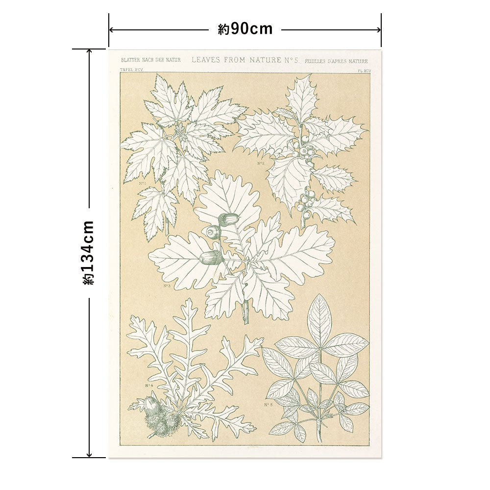 Hattan Art Poster Leaves from Nature No.5 / HP-00261 LL size (90cm x 134cm)