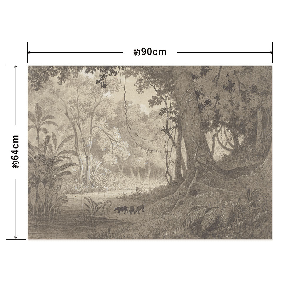 Hattan Art Poster ハッタンアートポスター Forest Scenery near Tamana / HP-00428 Lサイズ(90cm×64cm)