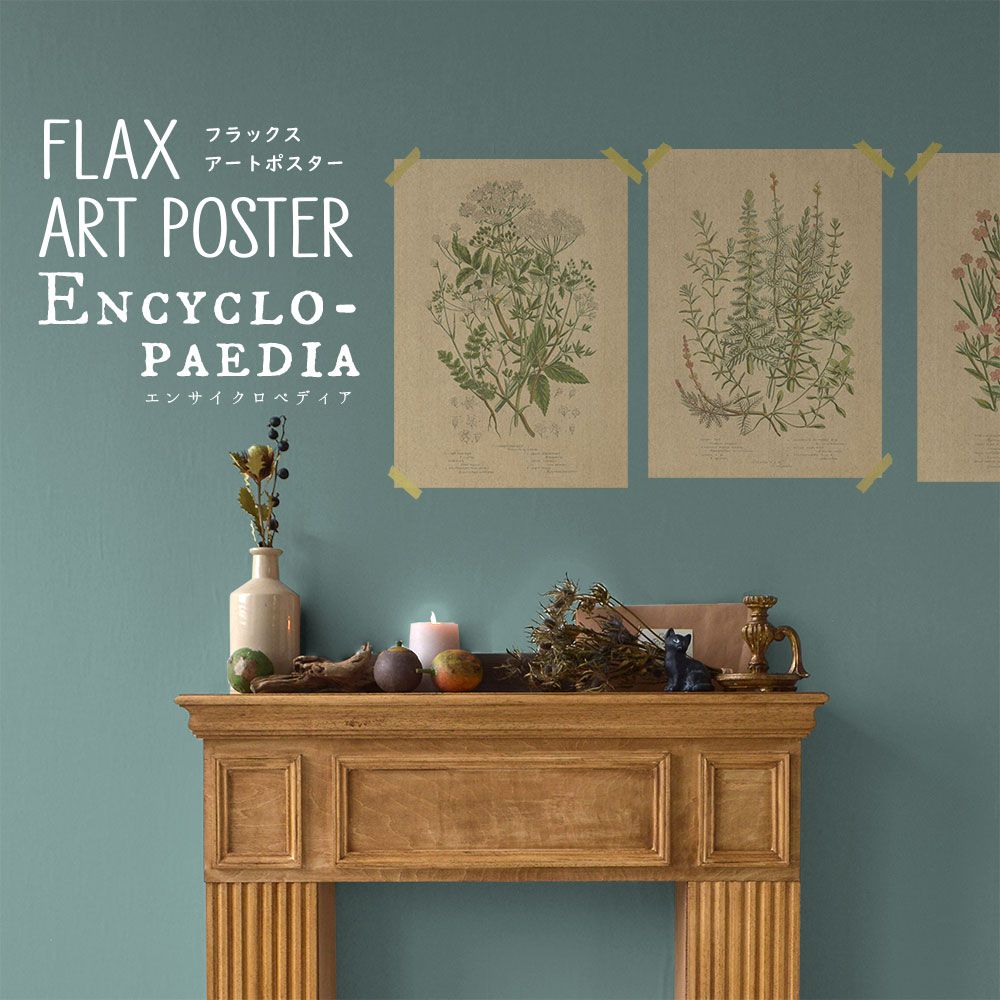 FLAX ART POSTER Encyclopaedia フラックス アートポスター エンサイクロペディア ワイルドフラワーA FWP-AP-EN1A