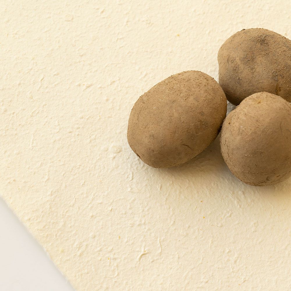 Food Paper Potato 1m x 2m size