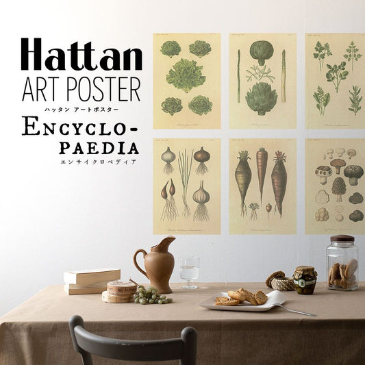 はがせるポスター壁紙 Hattan Art Poster Encyclopaedia ハッタン アートポスター エンサイクロペディア ベジタブル HAAP-EN06