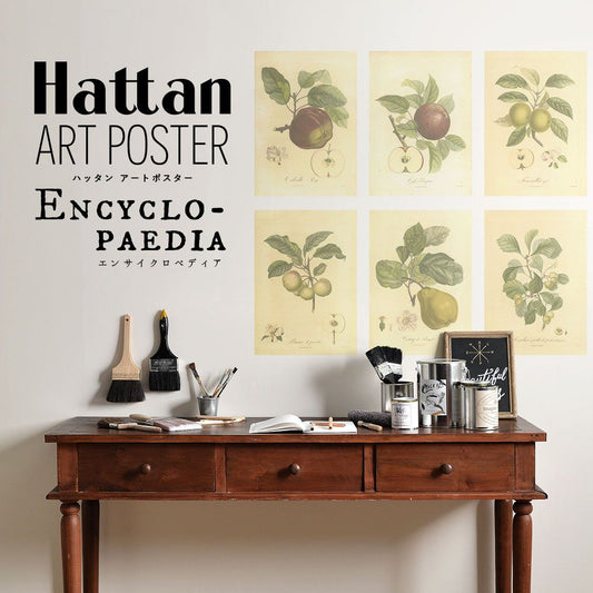 はがせるポスター壁紙 Hattan Art Poster Encyclopaedia ハッタン アートポスター エンサイクロペディア アップル HAAP-EN08