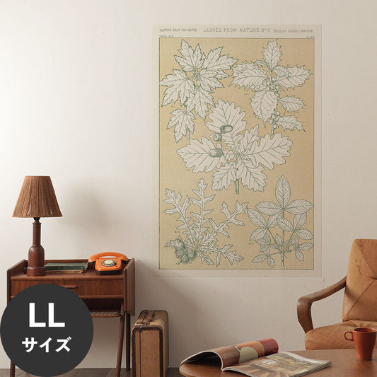 Hattan Art Poster ハッタンアートポスター Leaves from Nature No.5 / HP-00261 LLサイズ(90cm×134cm)