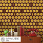 Peelable wallpaper, glue-free wallpaper, WALLTZ Yusuke Iwatani Orangette, Brown, NWZ-OJBR (49cm x 2.5m size)
