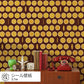 Peelable wallpaper, sticker type, WALLTZ Yusuke Iwatani Orangette, Brown, TWZ-OJBR (49cm x 2.7m size)