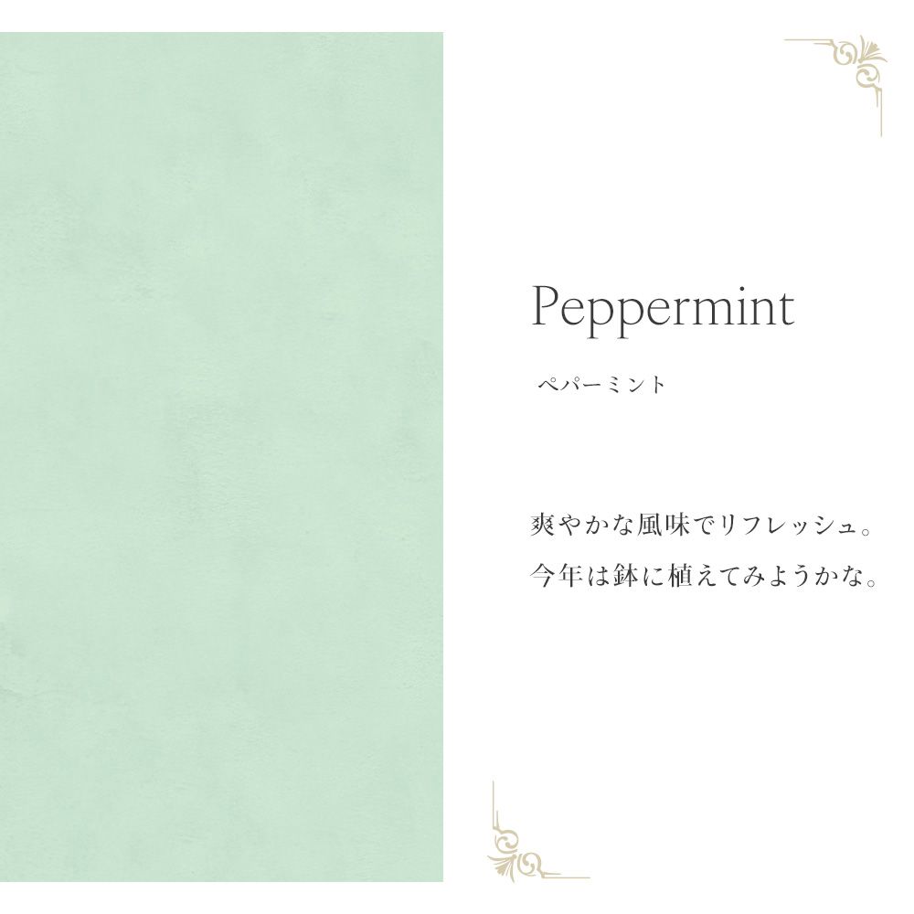 [Sample] Peelable wallpaper, no adhesive type Mon Sucrier Plain NMS-PN18, Peppermint