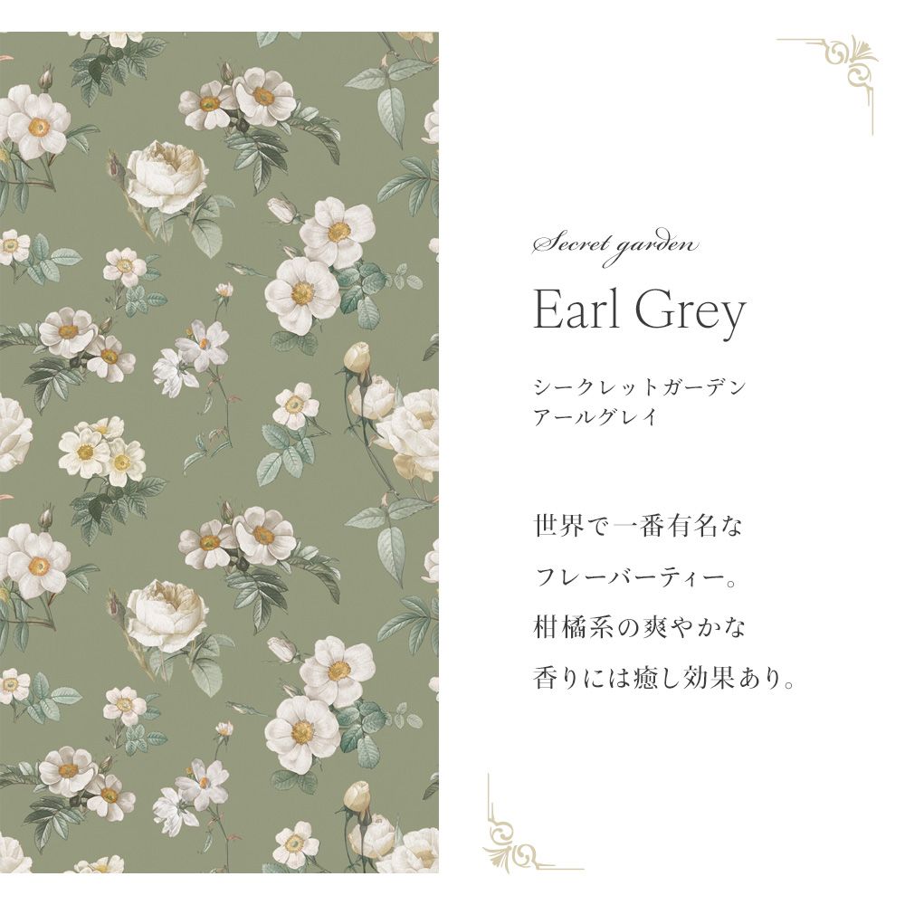 Peelable wallpaper, no adhesive, Mon Sucrier floral pattern, Secret Garden (49cm x 2.5m size) NMS-SG04 Earl Grey