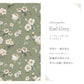 Peelable wallpaper, no adhesive, Mon Sucrier floral pattern, Secret Garden (49cm x 2.5m size) NMS-SG04 Earl Grey