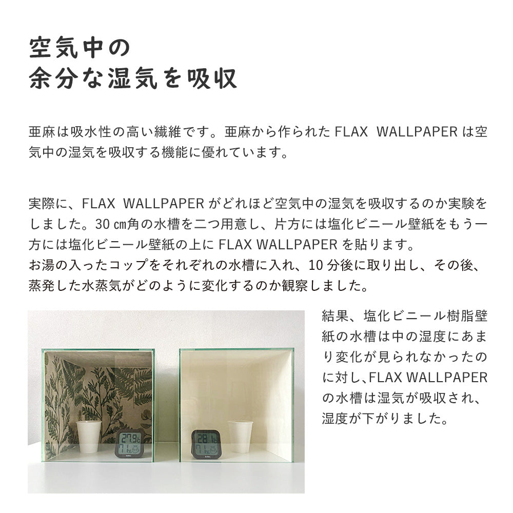 FLAX ART POSTER Encyclopaedia フラックス アートポスター エンサイクロペディア ワイルドフラワーA FWP-AP-EN1A