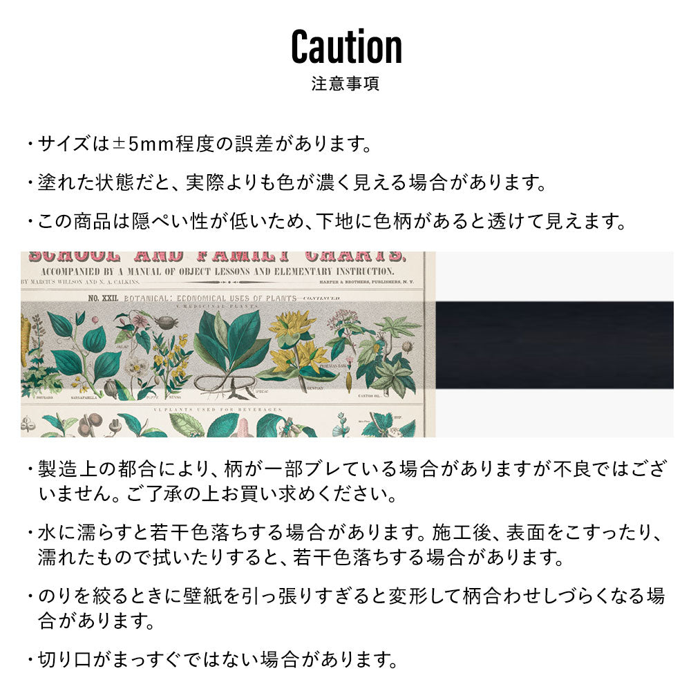 Hattan Art Poster ハッタンアートポスター Botanical: economical uses of plants / HP-00018 Sサイズ(34cm×45cm)