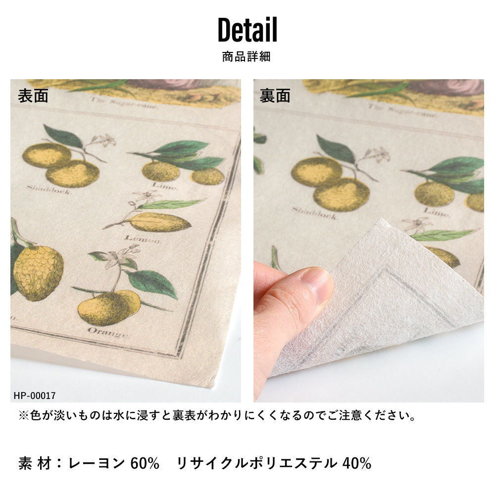 Hattan Art Poster ハッタンアートポスター Botanical: economical uses of plants / HP-00018 Sサイズ(34cm×45cm)