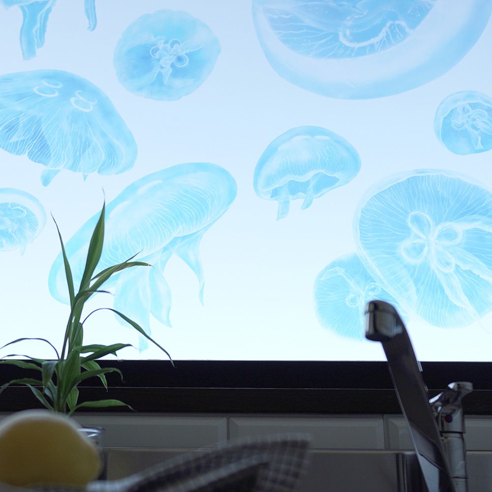 Transparent KURAGE Window Sticker Jellyfish Window Sticker A Set WDST-KRG-01