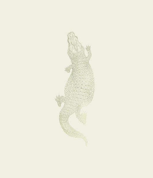 Peelable Mural Wallpaper, No- Teppei Higashi JUST Crocodile, Daytime, NWZ-JCDY