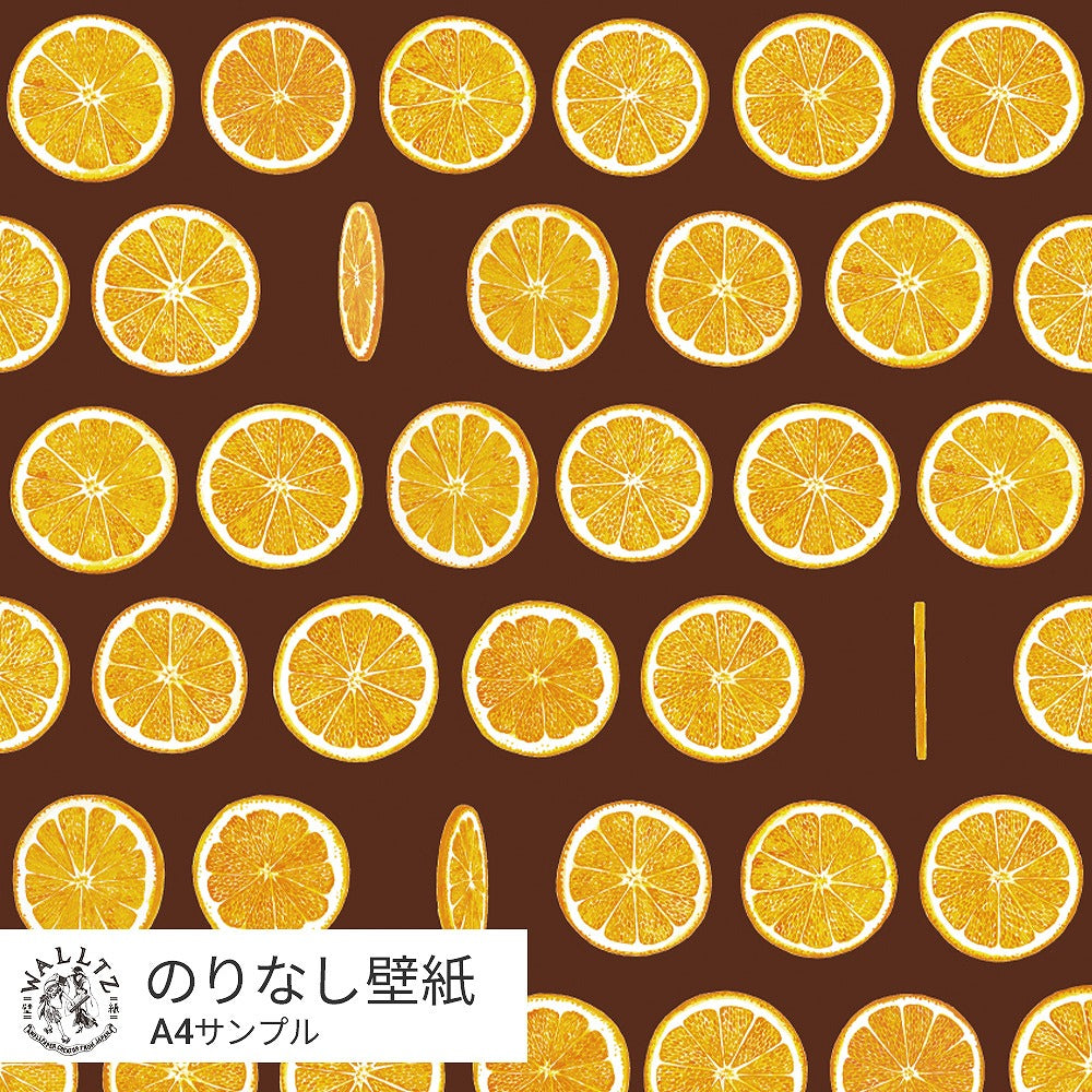 [Sample] Peelable wallpaper, no-paste wallpaper, WALLTZ Yusuke Iwatani Orangette, Brown, NWZ-OJBR
