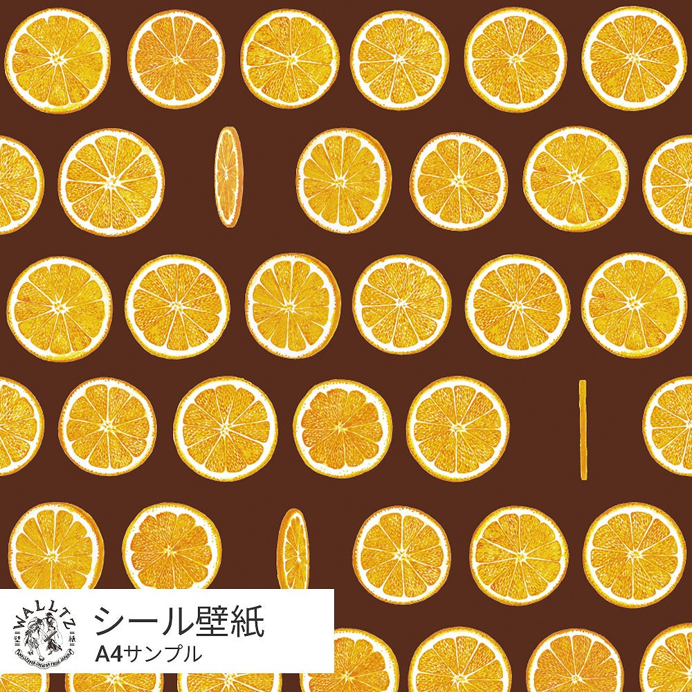 [Sample] Peelable wallpaper, sticker type, WALLTZ Yusuke Iwatani Orangette, brown, TWZ-OJBR