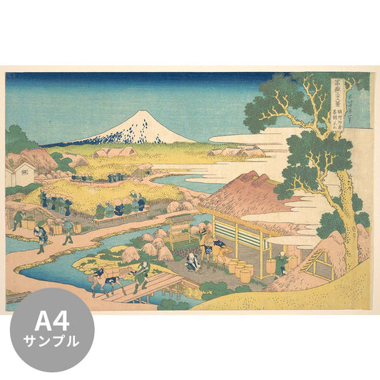 [Sample] Removable mural wallpaper without glue Katsushika Hokusai Thirty-six views of Mt. Fuji Sunshu Katakura Tea Garden Fuji