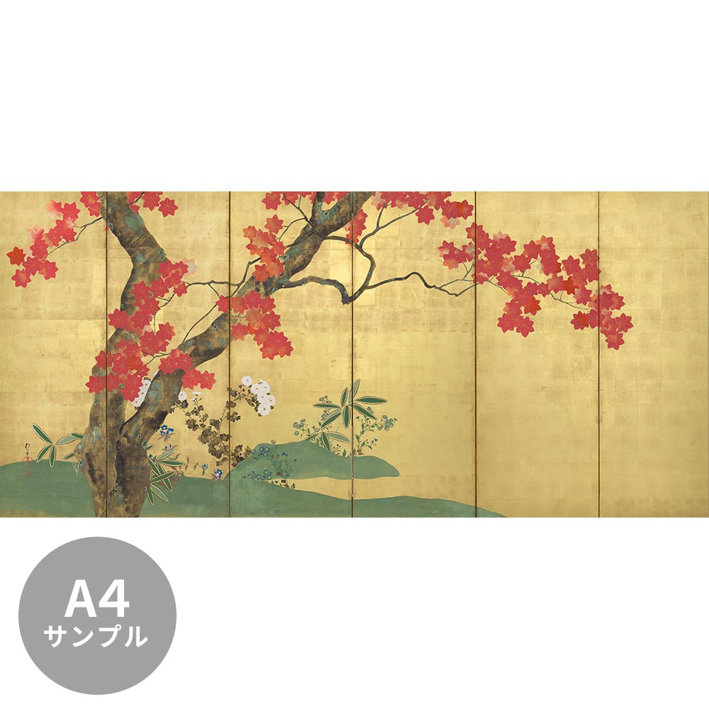 [Sample] Peelable wall mural, no adhesive, Sakai Hōitsu, Cherry Blossoms and Maples Screen (left panel)