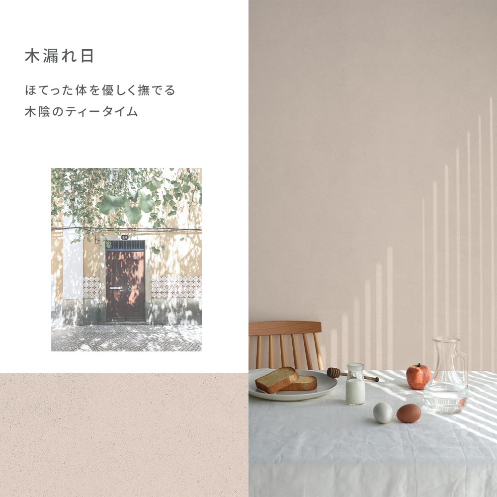 Peelable wallpaper, no adhesive, SLOW TiME chill color am (49cm x 2.5m size) NST-CC06 Sunlight filtering through trees