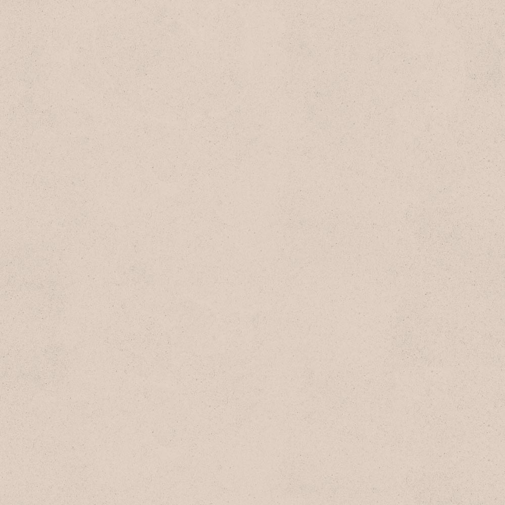 Peelable wallpaper, no adhesive, SLOW TiME chill color am (49cm x 2.5m size) NST-CC06 Sunlight filtering through trees