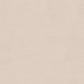 Peelable wallpaper, no adhesive, SLOW TiME chill color am (49cm x 2.5m size) NST-CC06 Sunlight filtering through trees