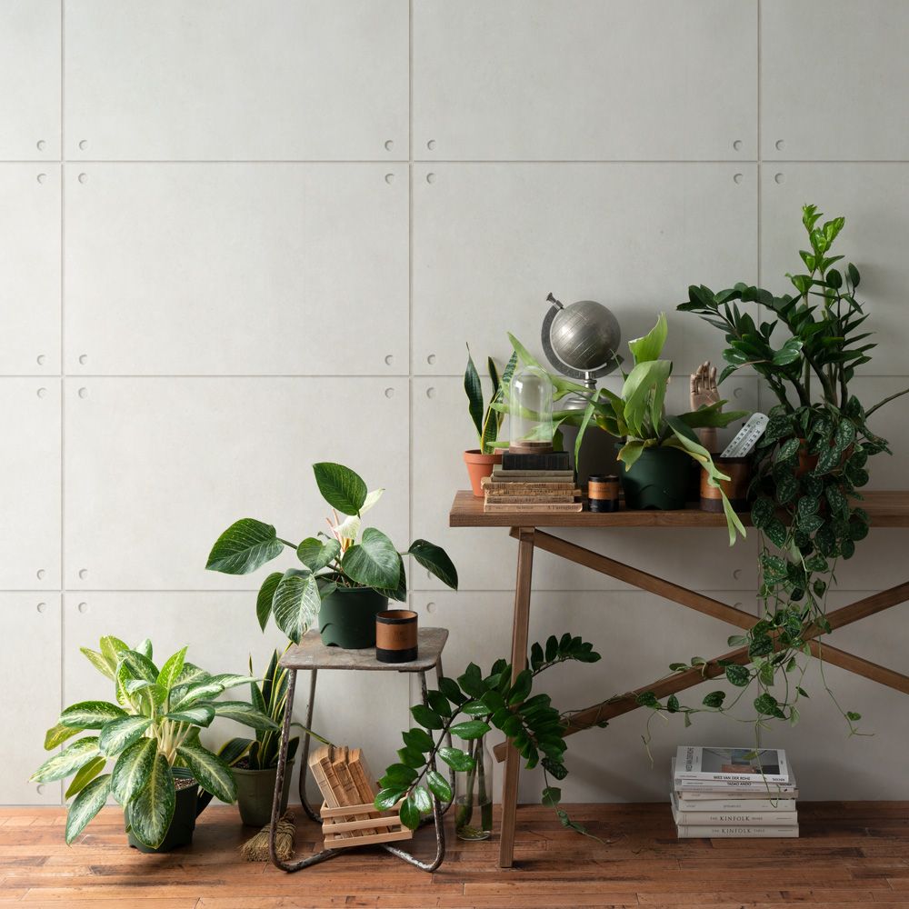 [Sample] Peelable wallpaper, sticker type, SLOW TiME Natural Modern Concrete, TST-MC01, light gray