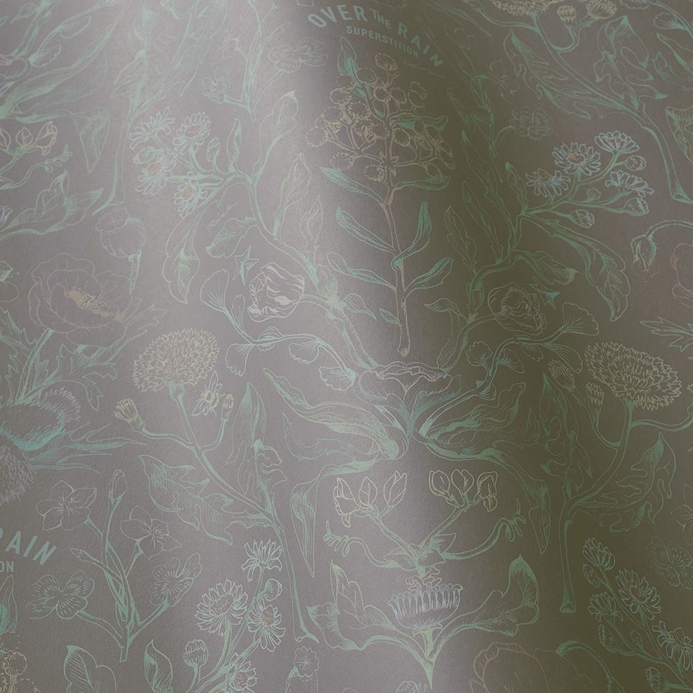 Peelable wallpaper, no-paste wallpaper, WALLTZ Teppei Higashi over botanical charcoal gray NWZ-OBCG (49cm x 3m size)