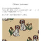 Removable Wallpaper Non-Adhesive Type WALLTZ ma.macaron Twin Dogs Cyan Jumaux Dusty Citron NWZ-CJDC (49cm×2.5m size)