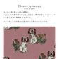 Removable Wallpaper Non-Adhesive Type WALLTZ ma.macaron Twin Dogs Cyan Jumot Dusty Rose NWZ-CJDR (49cm×3m size)