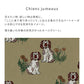 Removable Wallpaper Non-Adhesive Type WALLTZ ma.macaron Twin Dogs Cyan Jumot Smoke Sage NWZ-CJSS (49cm×2.5m size)