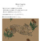 Peelable Wallpaper Non-Adhesive Type WALLTZ Mon lapin Oak Sand NWZ-MLOS (49cm×2.5m size)