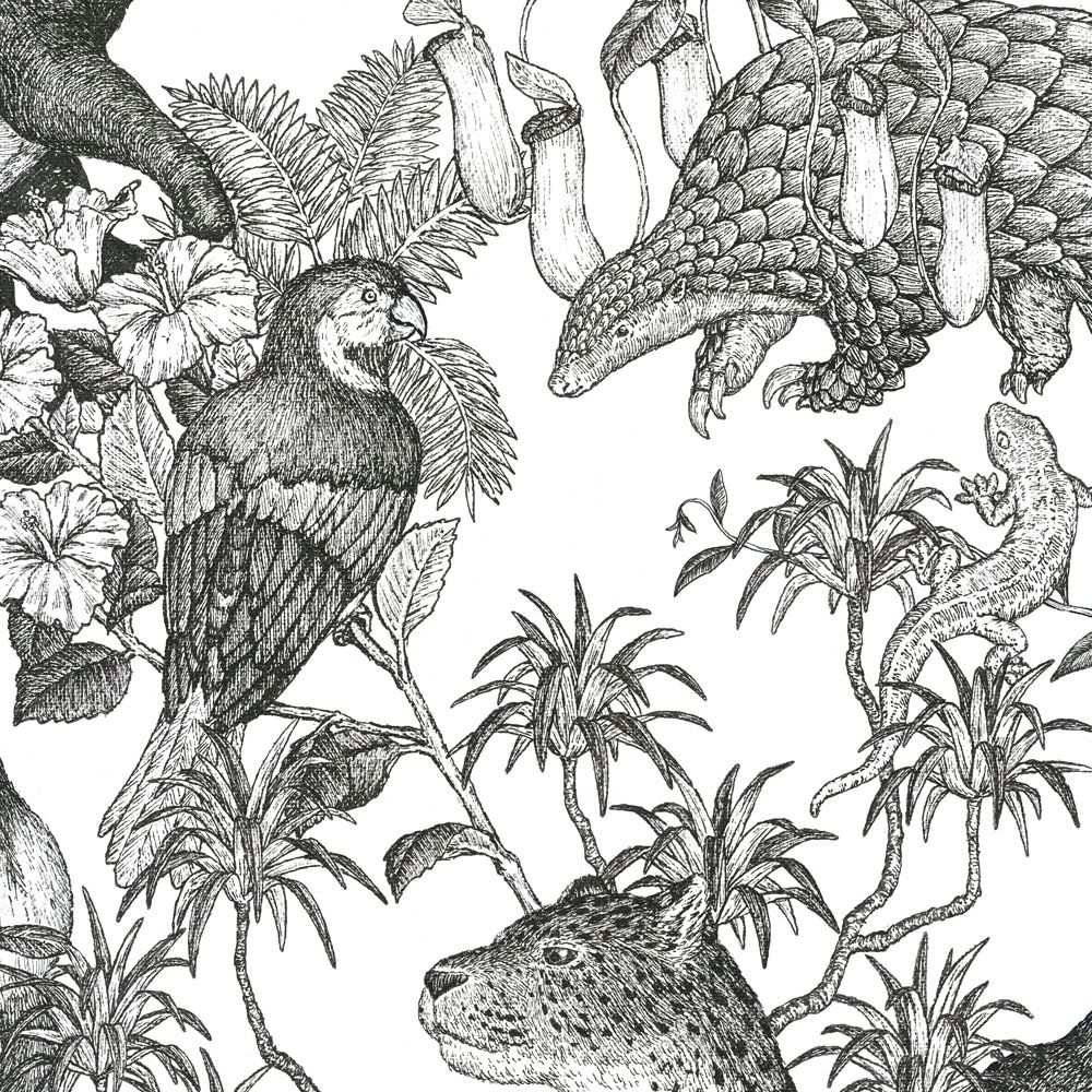 Peelable Wallpaper Non-adhesive Type WALLTZ Murayama Tomoaki Tropical Rainforest Double Black NWZ-TFDBK (49cm×2.7m size)