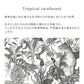 Peelable Wallpaper Non-adhesive Type WALLTZ Murayama Tomoaki Tropical Rainforest Black NWZ-TFBK (49cm×2.7m size)