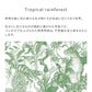 Removable Wallpaper Sticker Type WALLTZ Murayama Tomoaki Tropical Rainforest Green TWZ-TFGR (49cm×2.5m size)