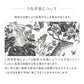 Removable Wallpaper Sticker Type WALLTZ Murayama Tomoaki Tropical Rainforest Green TWZ-TFGR (49cm×2.5m size)